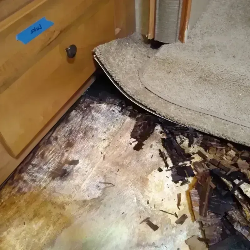 Best Wood Floor Water Damage Service in Milan, MI